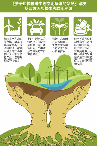 新能源能否公平接入檢驗(yàn)電改成效