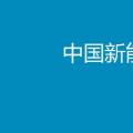 2017年中國(guó)新能源汽車行業(yè)年度報(bào)告