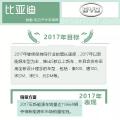 十大新能源車企2017年市場(chǎng)表現(xiàn)及2018年規(guī)劃