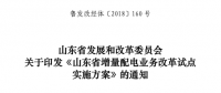 山東省增量配電業(yè)務改革試點實施方案印發(fā)：確定6個區(qū)域開展增量配電業(yè)務改革試點