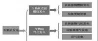 我國生物質(zhì)氣化耦合發(fā)電技術(shù)及應(yīng)用探討