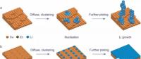 易放大且兼顧商業(yè)化 抑制鋰枝晶新成果有望應(yīng)用于鋰金屬陽(yáng)極