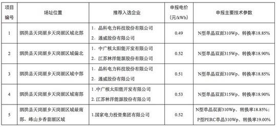 18家企業(yè)10個(gè)光伏應(yīng)用領(lǐng)跑基地中標(biāo)情況