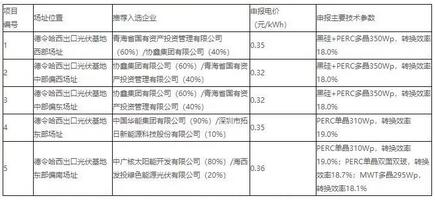 18家企業(yè)10個(gè)光伏應(yīng)用領(lǐng)跑基地中標(biāo)情況