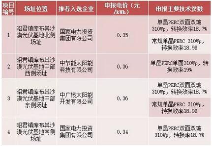 18家企業(yè)10個(gè)光伏應(yīng)用領(lǐng)跑基地中標(biāo)情況