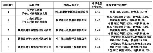 18家企業(yè)10個(gè)光伏應(yīng)用領(lǐng)跑基地中標(biāo)情況