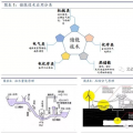 儲能將成為能源互聯(lián)網(wǎng)新型能源利用模式的關鍵支撐技術