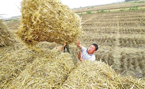 推動綠色生產(chǎn)方式落地生根 