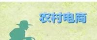 為何農(nóng)村電商這么火？未來(lái)3大看點(diǎn)隱藏千億級(jí)財(cái)富