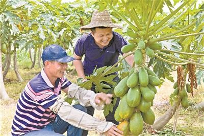 【中國(guó)夢(mèng)·踐行者】85后大學(xué)生村官創(chuàng)新"互聯(lián)網(wǎng)+農(nóng)特產(chǎn)":在鄉(xiāng)村振興的舞臺(tái)上用心干