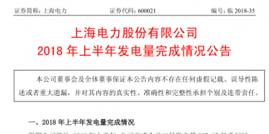 國家電投旗下上海電力上半年經營成績單出爐：完成發(fā)電量237.85億千瓦時