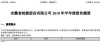 半年報(bào)丨皖能電力上半年?duì)I業(yè)收入58.66億元