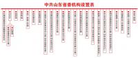 重磅！山東將設(shè)能源局 12月底前完成