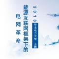 PPT|華北電力大學(xué)教授王鵬：支持局域電網(wǎng)開(kāi)展試點(diǎn)