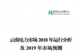 云南電力市場(chǎng)2018年運(yùn)行分析及2019年市場(chǎng)預(yù)測(cè)